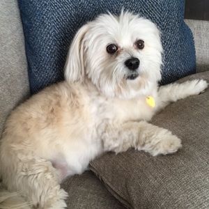 Meet your Posher, Alaina